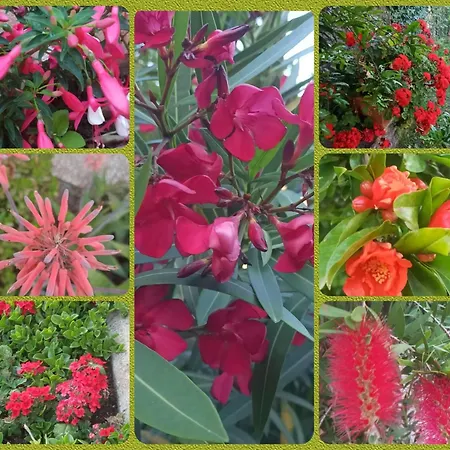 Casa Valdese * ריו מרינה